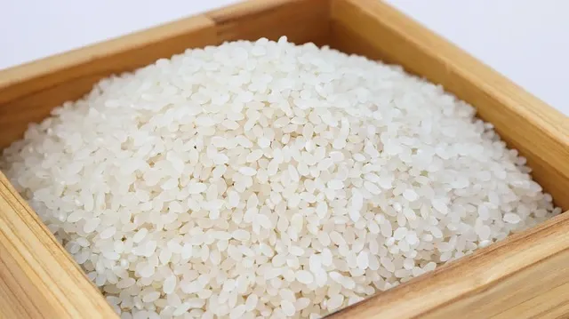 ARROZ ×15KG
