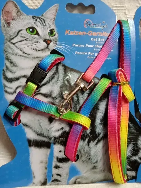 CONJUNTO PRETAL GATO