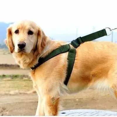 CONJUNTO PRETAL REFORZADO