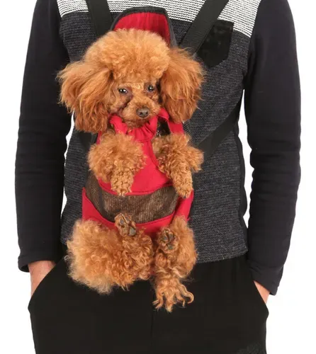 MOCHILA TRANSPORTADORA