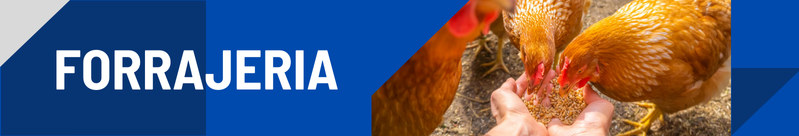 Forrajería