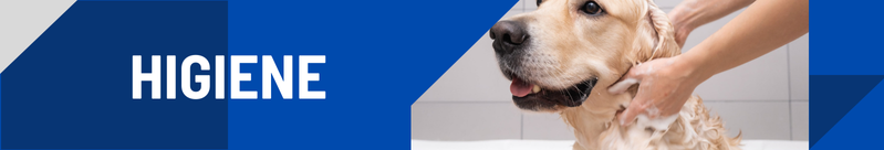 Higiene