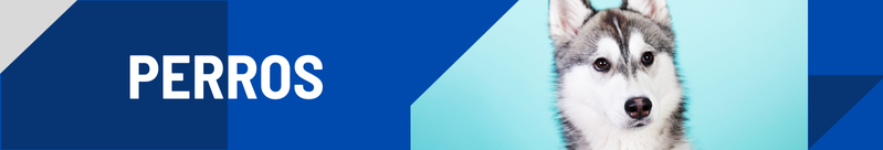 Perros